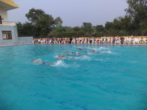 Swimming demo on PTM Day