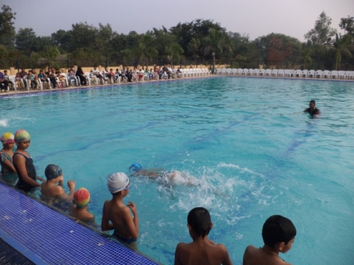 View the album Swimming demo on PTM Day